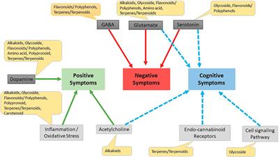 Alternative Therapy of Psychosis: Potential Phytochemicals and Drug Targets in the Management of Schizophrenia